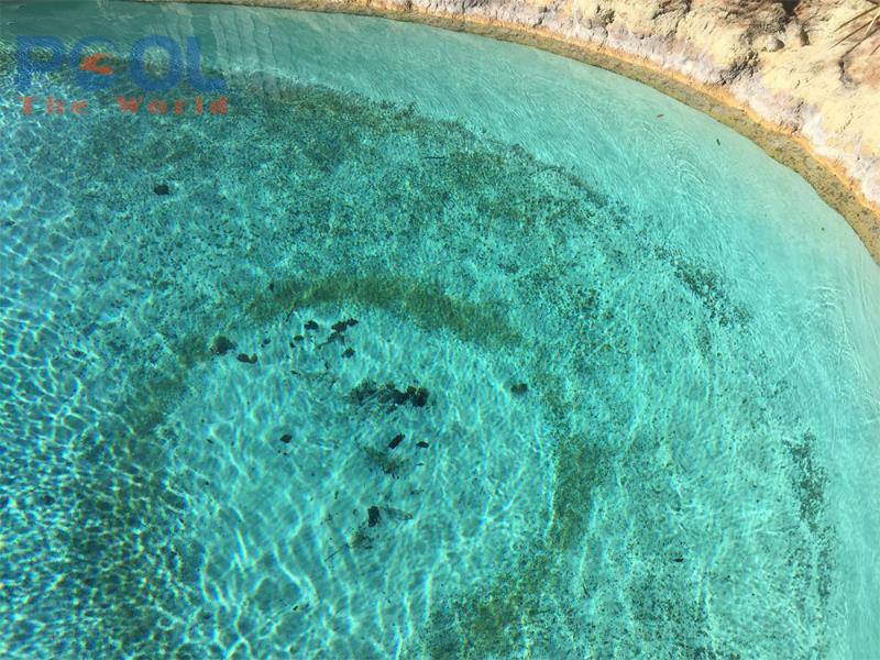 Làm sao để diệt tảo đen trên gạch mosaic hồ bơi? 