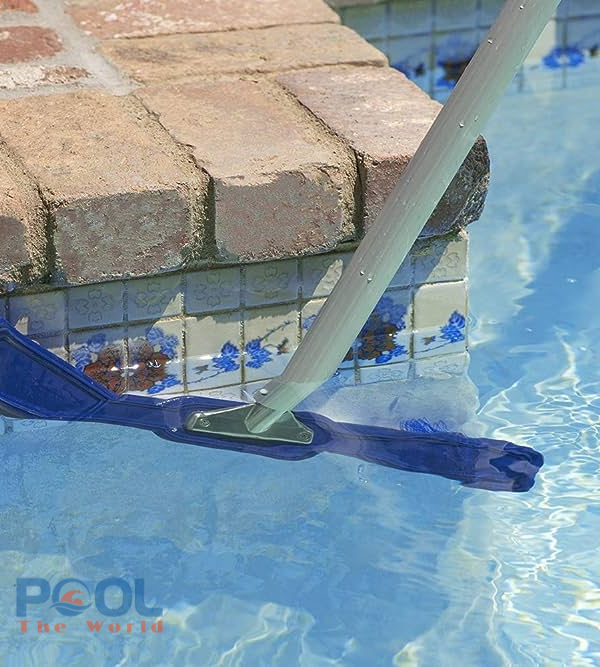 Làm sao để diệt tảo đen trên gạch mosaic hồ bơi? 