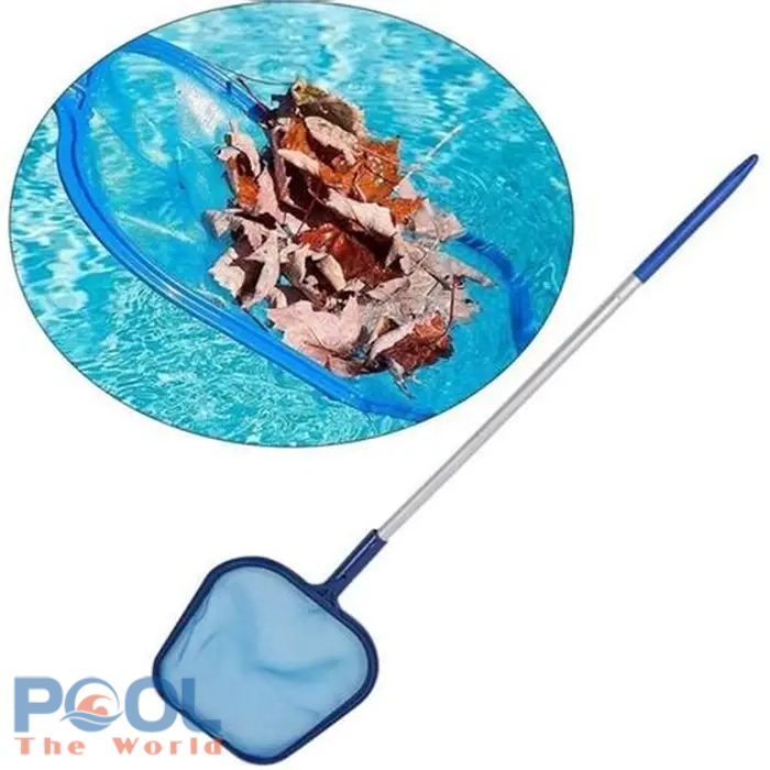 Đừng Đợi Lá Cây Chìm Xuống Đáy Mới Vệ Sinh Hồ Bơi