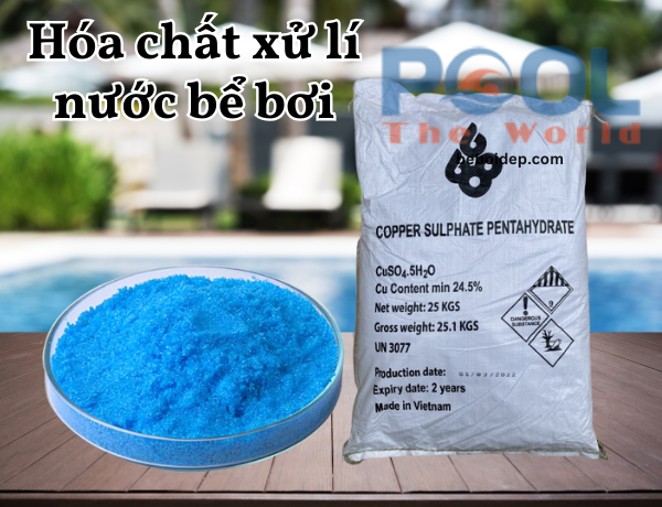 Đồng Sulfat: Giải Pháp Cuối Cùng Cho Hồ Bơi Nhiễm Tảo Đen Đã Nhờn Với Clo