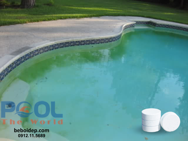 Giải Pháp Khử Trùng Hồ Bơi Cả Tuần Chỉ Với 1 Viên Chlorine Nhật TCCA 90% Viên 200g
