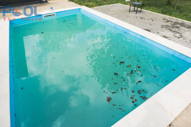 Đi Du Lịch Vẫn Yên Tâm Nước Sạch Nhờ Cách Giữ Clo Hồ Bơi Ổn Định Với Clo Viên 200g Nhật