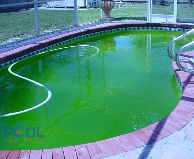 Chlorine 70% Và TCCA 90%: Hóa Chất Nào Khử Trùng Hồ Bơi Tối Ưu Hơn? Cẩm Nang So Sánh Chi Tiết Từ Chuyên Gia
