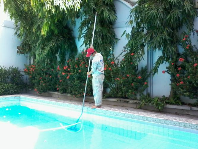 Hồ Bơi Ít Sử Dụng Có Cần Xử Lý Nước Thường Xuyên Không