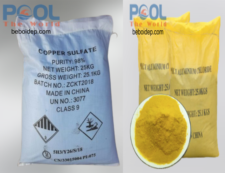 Nguyên Nhân Nước Hồ Bơi Bị Đục - Cách Xử Lý Và Phòng Ngừa Hiệu Quả