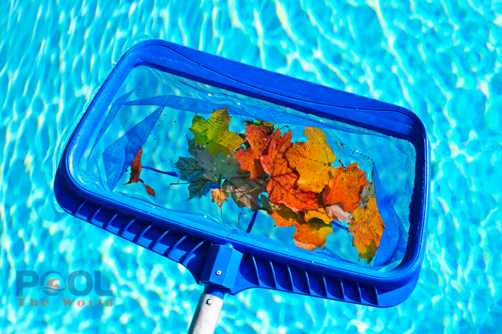 Chlorine Nhật TTCA 90% Viên 200g: "Lá chắn" bảo vệ hồ bơi khỏi nước mưa ô nhiễm