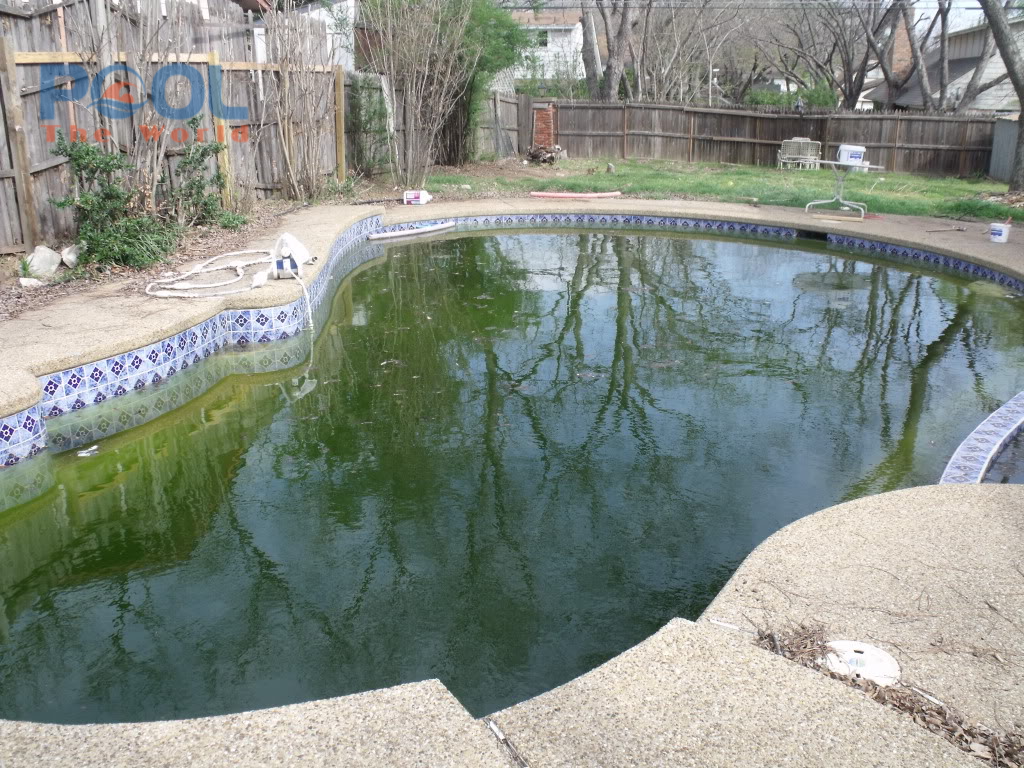 Tại sao Chlorine INDIA 70% Aquafit là lựa chọn tiết kiệm số 1 cho hồ bơi gia đình?