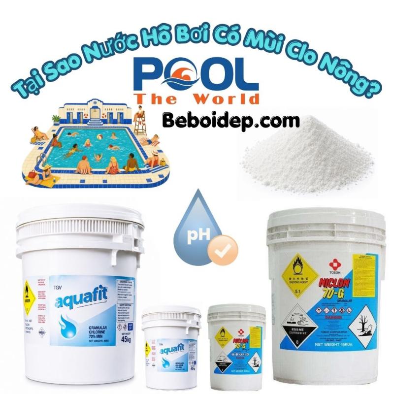 Tại Sao Nước Hồ Bơi Có Mùi Clo Nồng? Nguyên Nhân Và Cách Khắc Phục