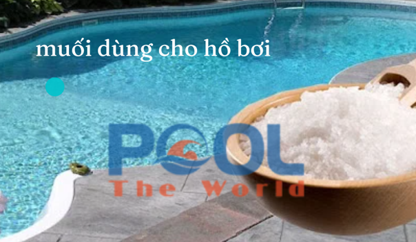 Muối Hồ Bơi Điện Phân: Tiêu Chuẩn, Cách Tính Và Dấu Hiệu Thiếu Muối