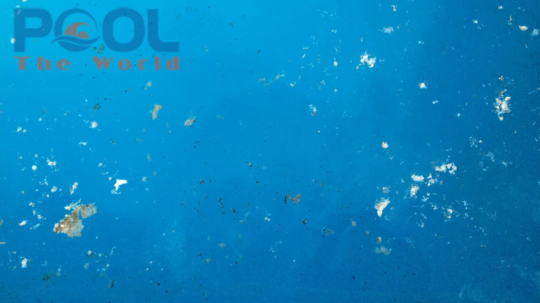 Nấm mốc trắng hồ bơi: “Căn bệnh nan y” và quy trình xử lý tận gốc