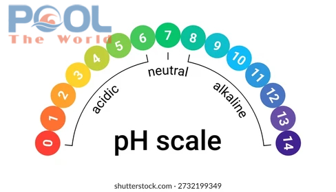 Nấm mốc trắng hồ bơi: “Căn bệnh nan y” và quy trình xử lý tận gốc