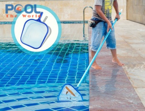 Nâng Cao Tốc Độ Vớt Lá Cây Bằng Vợt Lá Cây Nông Lòng Cùng Sào Nhôm 6m Xịn