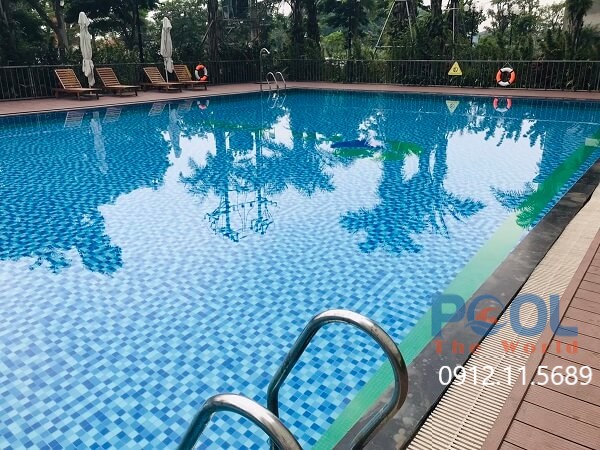 Nên Dùng Loại Nào Giữa Vợt Vành Nhôm Và Vợt Lá Cây Nông Lòng Cho Hồ Bơi
