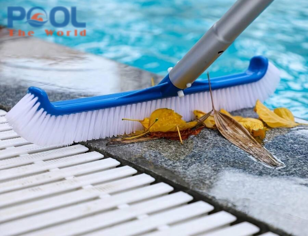 Những cách chà hồ nhanh chóng, sạch bong mà không tốn sức lực