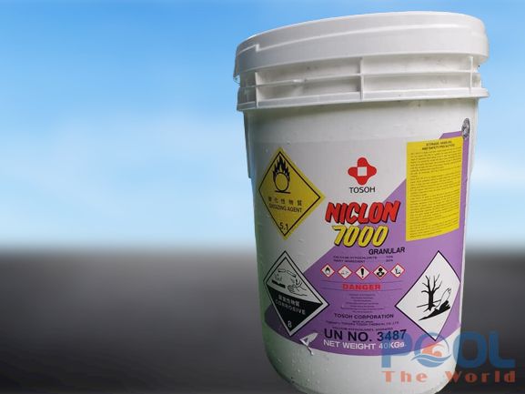 So Sánh Chlorine Nhật Niclon 7000 Và Clorin Cá Heo 70% Cho Hồ Bơi