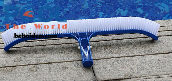 Tại sao bàn chải dùng cho hồ bơi là vũ khí bí mật để tiêu diệt rêu tảo tận gốc?