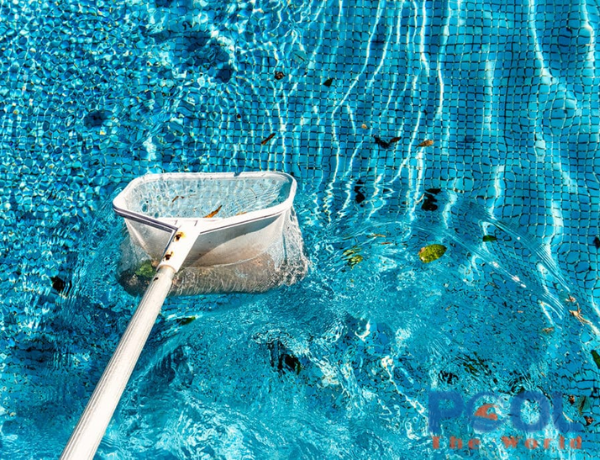 Tại sao khớp nối giữa vợt lá cây và sào nhôm dễ bị lỏng? Nguyên nhân và cách khắc phục