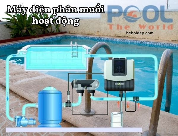 Tại sao việc kết hợp muối điện phân giúp tiết kiệm 70% chi phí hóa chất vận hành hàng năm?