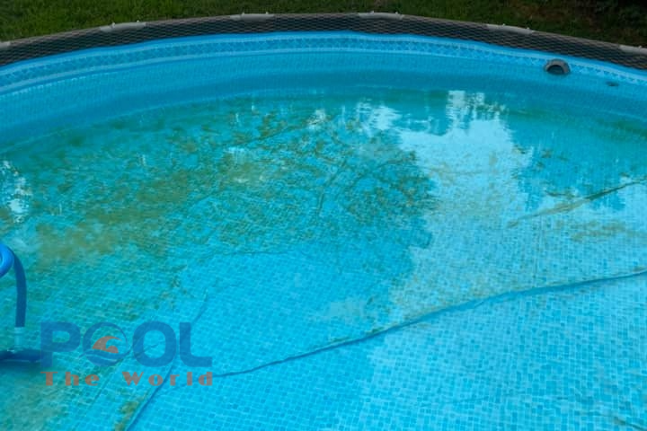Đừng để tảo vàng xâm chiếm: Cách dùng Chlorine Cá Heo 70% để "Shock" hồ bơi đúng chuẩn