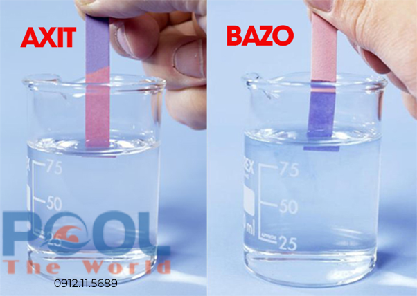Test pH Quỳ 50 Que Có Chính Xác Không Và Cách Kiểm Tra Nước Hồ Bơi Hiệu Quả