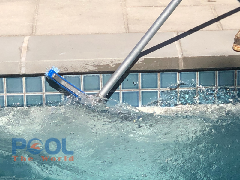 Top 5 mẫu bàn chải dùng cho hồ bơi được ưa chuộng nhất hiện nay