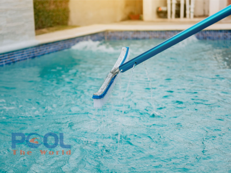 Top 5 mẫu bàn chải dùng cho hồ bơi được ưa chuộng nhất hiện nay