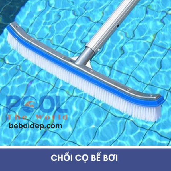 Top 5 mẫu bàn chải dùng cho hồ bơi được ưa chuộng nhất hiện nay