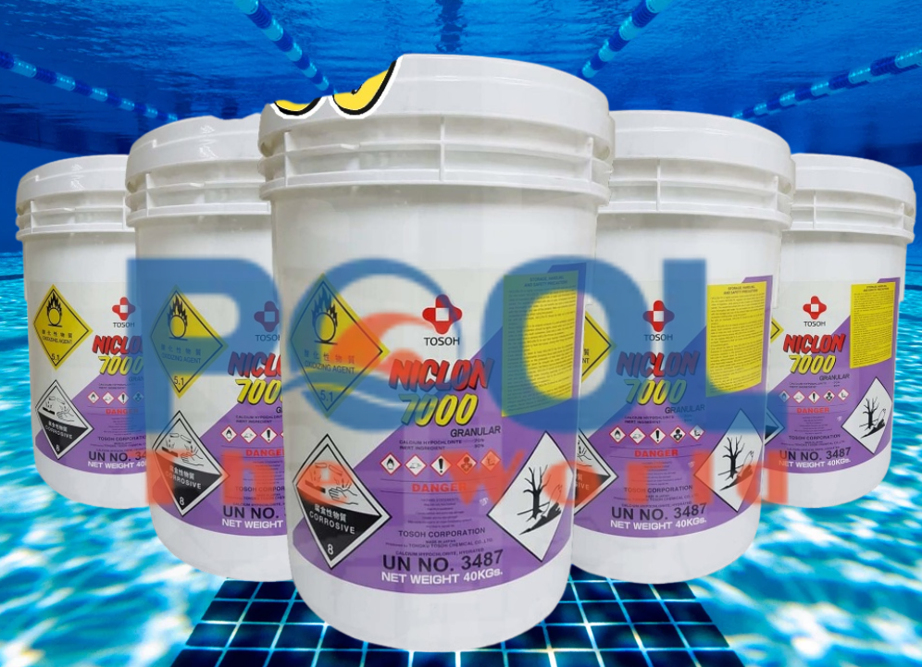 Hồ bơi trong nhà: vấn đề đặc thù và cách xử lý