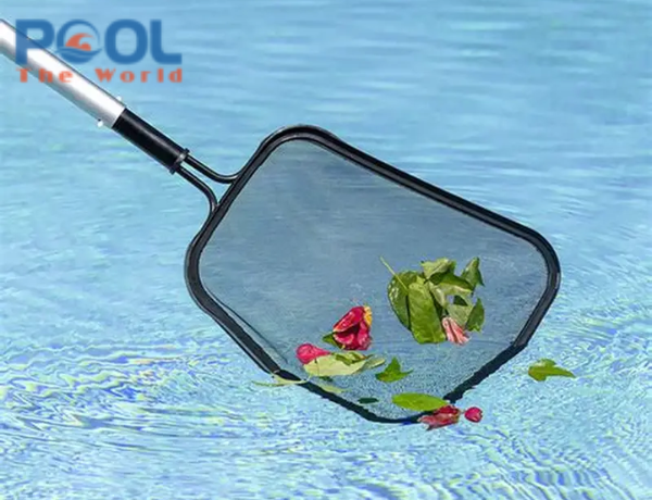 Những Vị Trí Trong Hồ Bơi Rất Dễ Bị Bỏ Quên Khi Vệ Sinh