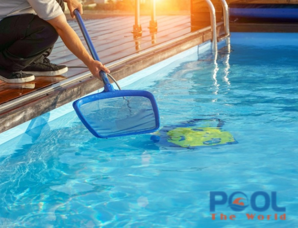 Vì sao lưới vợt lá cây nông lòng dễ rách hơn vợt lá cây sâu lòng?