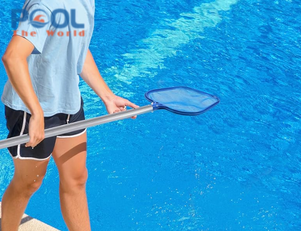 Vì sao lưới vợt lá cây nông lòng dễ rách hơn vợt lá cây sâu lòng?