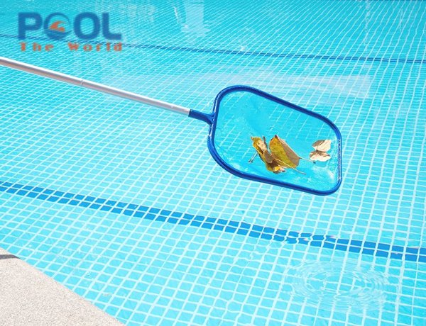 Vì sao lưới vợt lá cây nông lòng dễ rách hơn vợt lá cây sâu lòng?