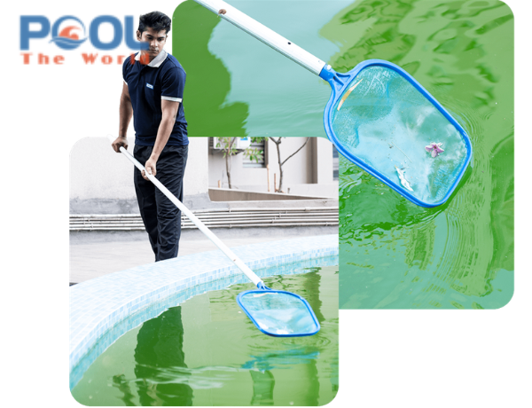 Vì sao lưới vợt rác hồ bơi dễ bị mục khi ngâm nước lâu?