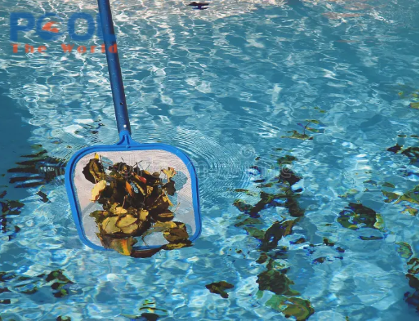 Vì sao lưới vợt rác hồ bơi dễ bị mục khi ngâm nước lâu?