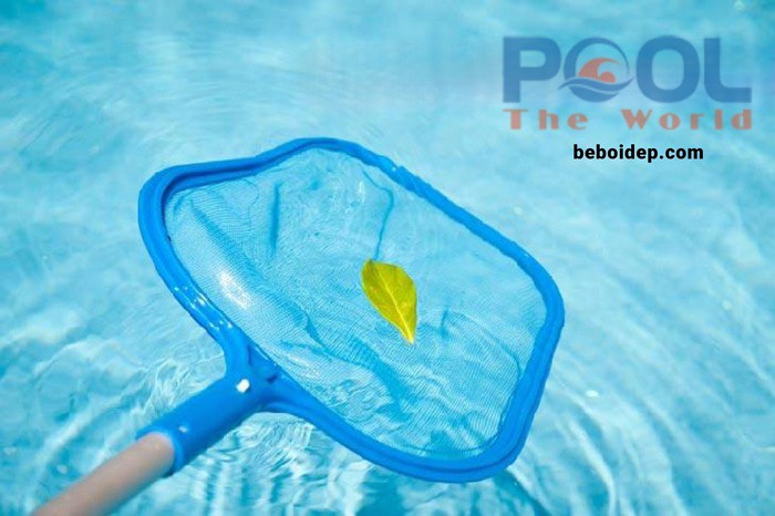 Vì sao nên dùng vợt lá cây thay vì vớt thủ công?