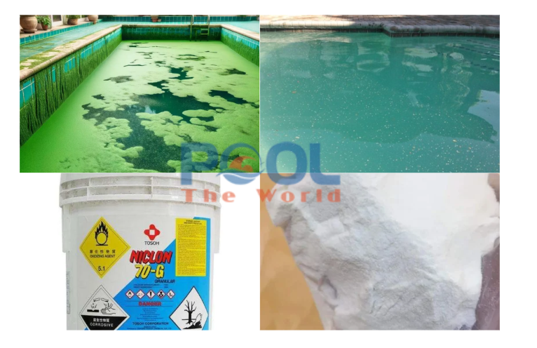 Quy Trình Xử Lý Sốc Hồ Bơi Khi Bị Ô Nhiễm Nặng, Bùng Phát Rêu Tảo 