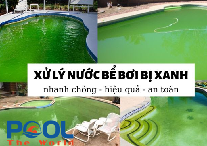 Giải Pháp Toàn Diện Xử Lý Nước Hồ Bơi Có Tảo: Từ Chẩn Đoán Đúng Nguyên Nhân Đến Phục Hồi Hoàn Toàn Trong 48 Giờ