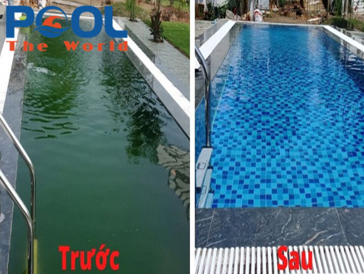 Giải Pháp Toàn Diện Xử Lý Nước Hồ Bơi Có Tảo: Từ Chẩn Đoán Đúng Nguyên Nhân Đến Phục Hồi Hoàn Toàn Trong 48 Giờ