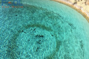 Làm sao để diệt tảo đen trên gạch mosaic hồ bơi?