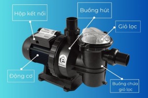 Bơm lọc Kripsol và Zodiac: Đâu là lựa chọn tốt nhất cho bể bơi của bạn?