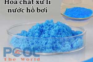 Cách sử dụng Đồng Sulfat đúng cách đảm bảo an toàn cho bồ bơi của bạn