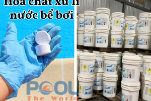 Clorin cá heo 70% có thực sự hiệu quả cho bể bơi? Câu trả lời cho bạn!