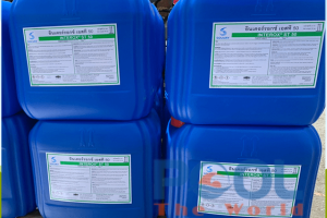 Cứu Nguy Cho Mặt Nước Xỉn Màu Sau Mưa Bão Nhờ Châm Oxy Già Công Nghiệp Nhanh