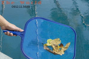 Dụng cụ vớt rác hồ bơi – Giải pháp làm sạch mặt nước nhanh chóng