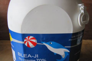 Đừng để tảo vàng xâm chiếm: Cách dùng Chlorine Cá Heo 70% để 