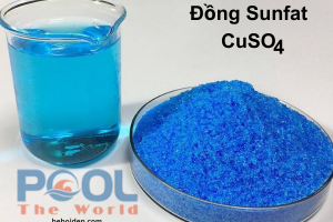 Giải Pháp Cắt Cơn Nghẹt Hệ Thống Lọc Do Xác Tảo Xanh Bằng Bột Đồng Sulfat Đậm Đặc