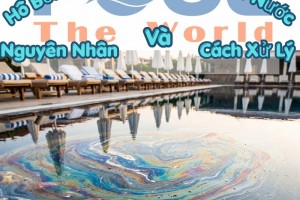 Hồ Bơi Có Váng Dầu Trên Mặt Nước: Nguyên Nhân Và Cách Xử Lý