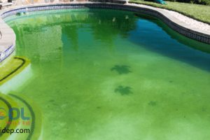 Hóa chất xử lý nước: Ngăn chặn và xử lý các loại cặn bẩn trong hồ bơi