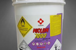 Làm sao để diệt tảo đen trên gạch mosaic hồ bơi?