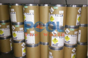 Một số mẹo dùng TTCA Japan 90% đánh bay hồ bơi bám đầy rêu